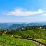 Enchanting Kerala: Tea gardens & Culture