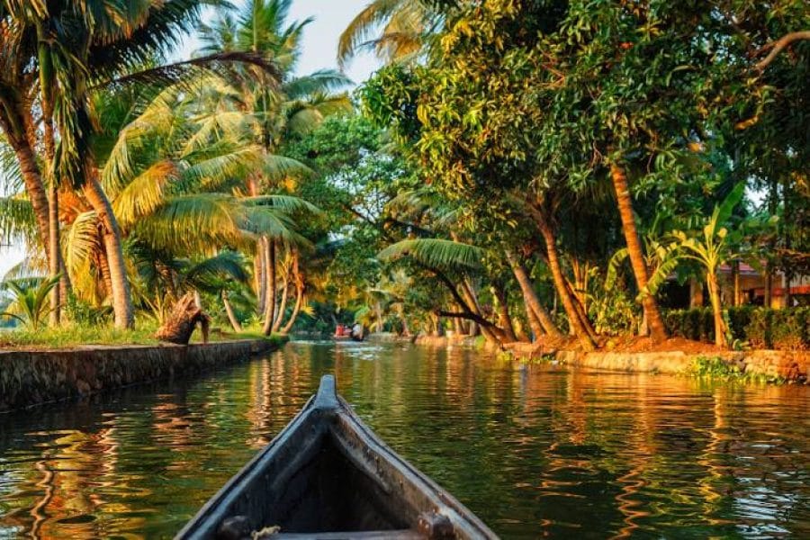 Enchanting Kerala: Journey through Backwater