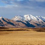 Sidebar Search Layout [Tour]